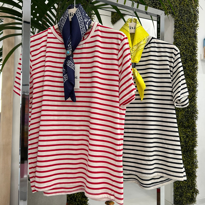 DIXIE - T-SHIRT HOASI + COLORI